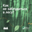 О безопасности путешествий в лесу напомнил ЦУР Вологодской области