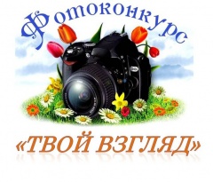 Молодежный парламент Грязовецкого муниципального района проводит районный конкурс фотографий «Твой взгляд»