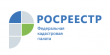 Кадастровая палата проведет «горячую» телефонную линию по вопросам предоставления документов для осуществления государственного кадастрового учета и регистрации прав