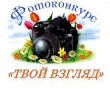 Молодежный парламент Грязовецкого муниципального района проводит районный конкурс фотографий «Твой взгляд»