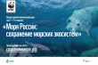 55 учителей из Вологодской области присоединились к экоуроку “Моря России: сохранение морских экосистем”