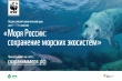 Учителей Вологодской области приглашают провести экоурок о сохранении морских экосистем