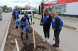30 саженцев клена были высажены грязовчанами на улице Обнорского в городе Грязовец