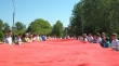 3 июня красное полотнище шириной в четыре метра, почти 30 метров в длину и весом около десяти килограммов по центральным улицам г. Грязовца пронесли более полусотни волонтеров