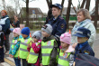 Вчера на базе детского сада № 1 города Грязовца состоялся районный слет отрядов ЮИД среди дошкольных образовательных учреждений Грязовецкого района