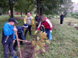 В рамках экологического марафона «Дни зеленых действий», прошла акция "Зелёный регион", в которой Грязовецкий муниципальный район принял активное участие