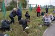 21 сентября, в рамках проекта "Образовательный интенсив "ОКНО В ПРИРОДУ" при поддержке Росмолодежи в Грязовецком районе была организована высадка деревьев