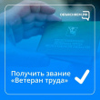 Звание «Ветеран труда Вологодской области» теперь присваивается без поощрений за добросовестный труд