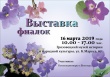 16 марта 2019 года с 10.00 до 17.00 час. в Грязовецком музее истории и народной культуры (ул. Карла Маркса, д.67) состоится Выставка фиалок