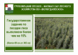 На территории Вологодской области начался сезон лесовосстановительных работ