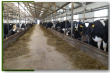 Более 67 000 тонн молока произведено в Грязовецком районе