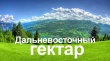 Жители Вологодской области могут  получить в безвозмездное пользование «дальневосточный гектар»