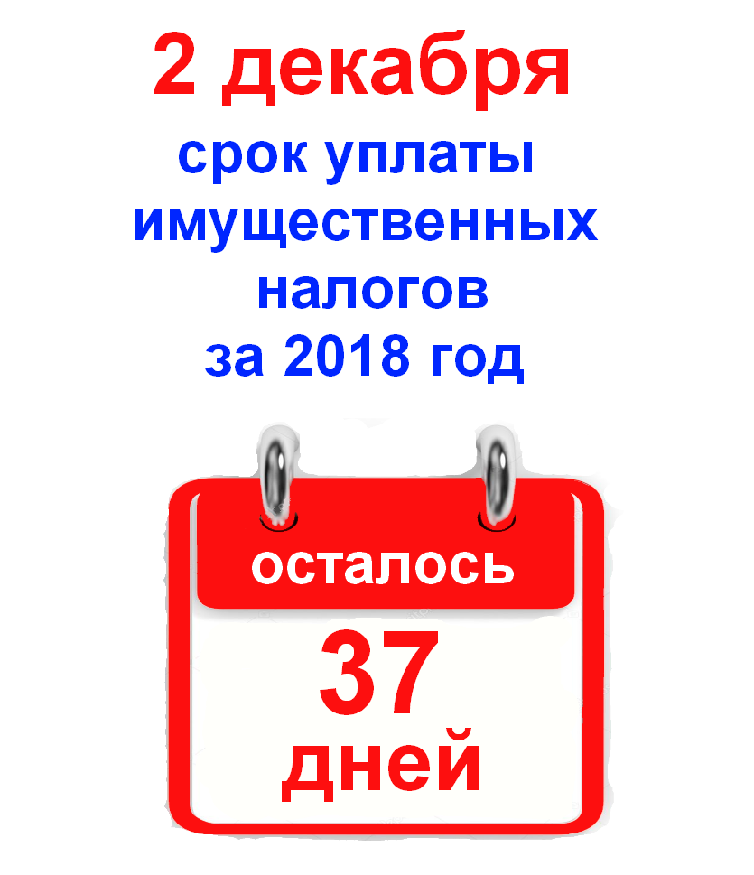 1 Декабря срок уплаты имущественных налогов.